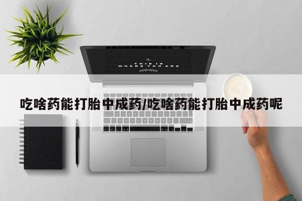 我想在网上买正品打胎药吃啥药能打胎中成药/吃啥药能打胎中成药呢